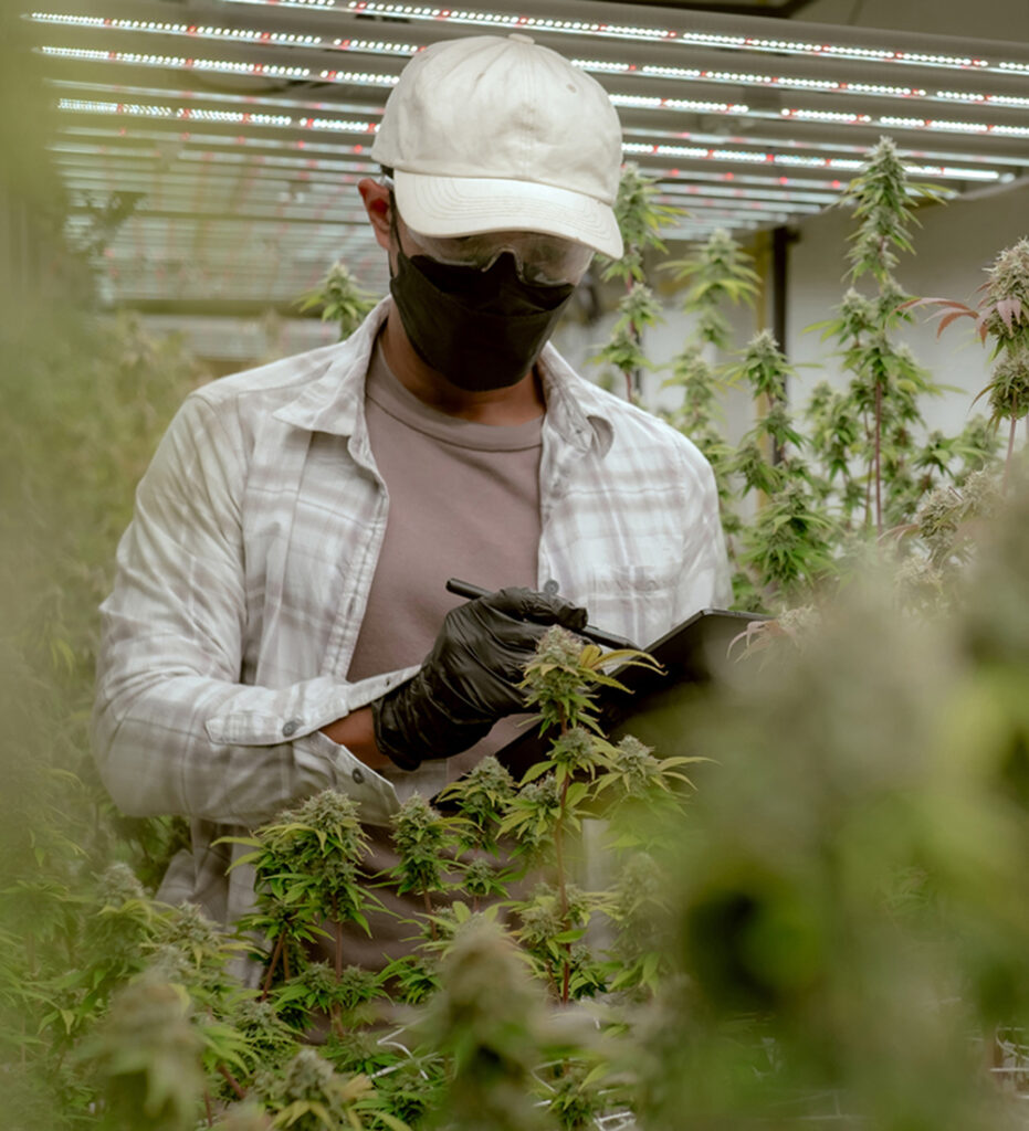 Sustainability in Design