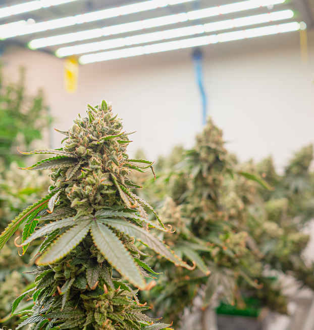 Premium Components Combined With Superior Customer Service