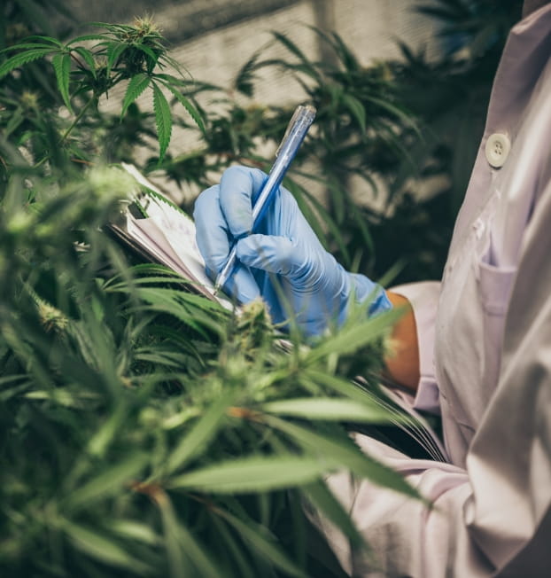 Security and Functionality for Optimal Growth