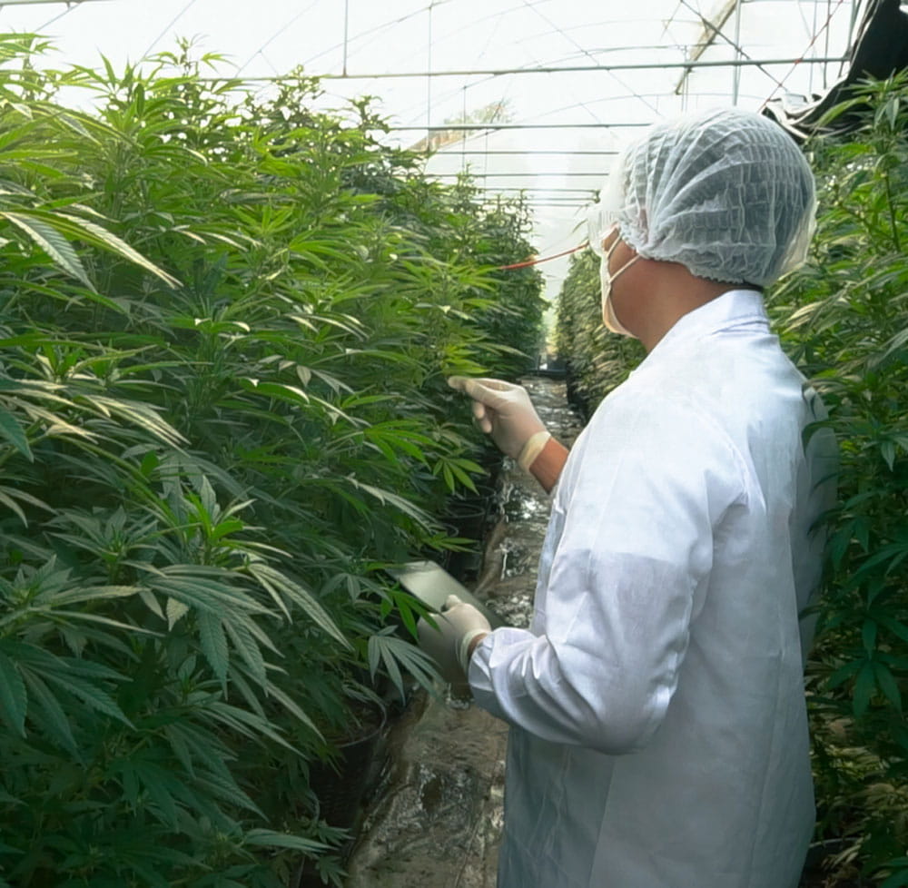 Lead Form - Motor City Grow Systems